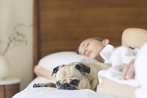 Frau schläft im Bett