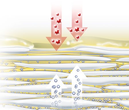 Darstellung natürlicher Feuchthaltefaktoren, die über die Haut verdunsten