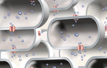 Darstellung einer begrenzten Anzahl an Aquaporinen