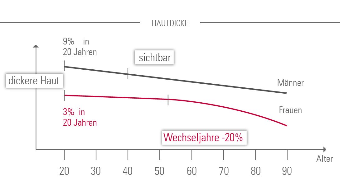 Diagramm Hautdicke