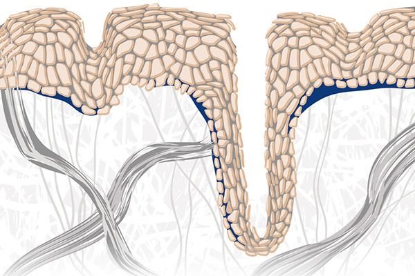 Reifere Haut bekommt Falten