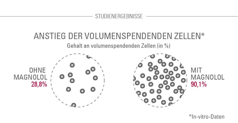Magnolol bewirkt einen Anstieg volumengebender Zellen.